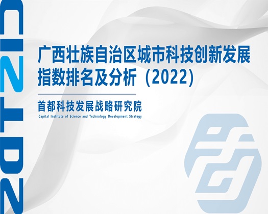 美女小骚逼【成果发布】广西壮族自治区城市科技创新发展指数排名及分析（2022）